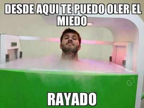 Ratones sí, 'gatitos' no en el BBVA - memes