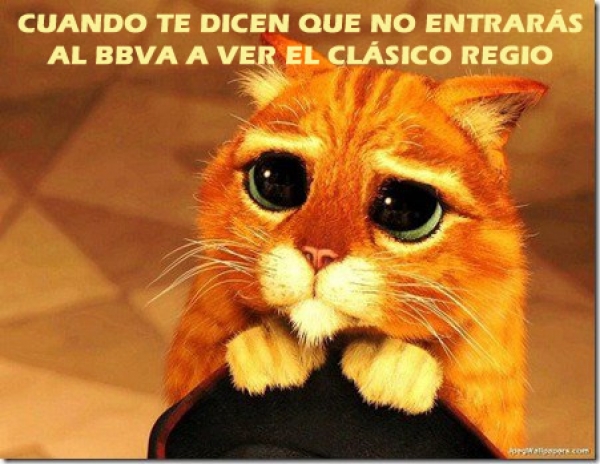 Ratones sí, 'gatitos' no en el BBVA - memes