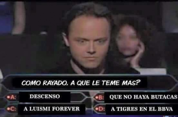 Ratones sí, 'gatitos' no en el BBVA - memes