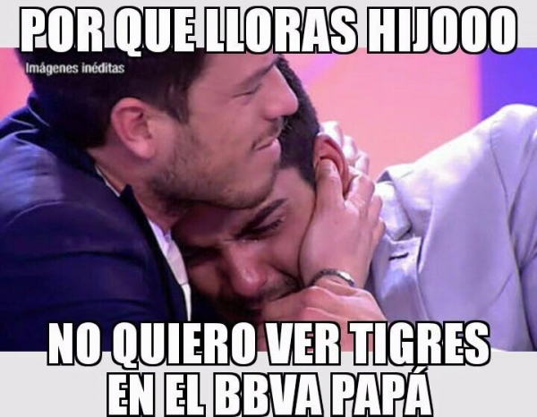 Ratones sí, 'gatitos' no en el BBVA - memes