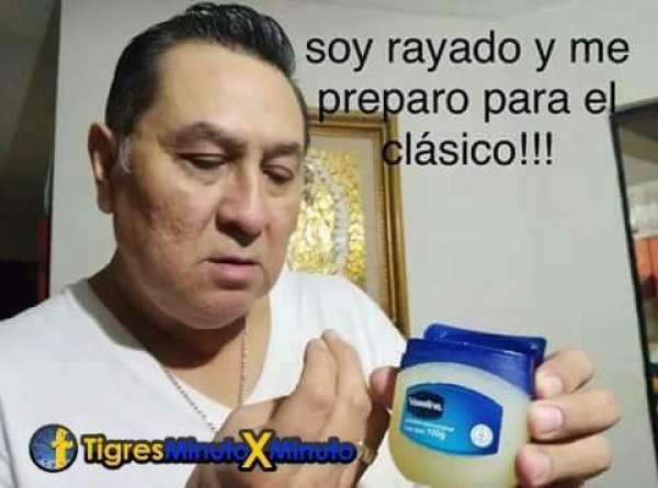 Ratones sí, 'gatitos' no en el BBVA - memes