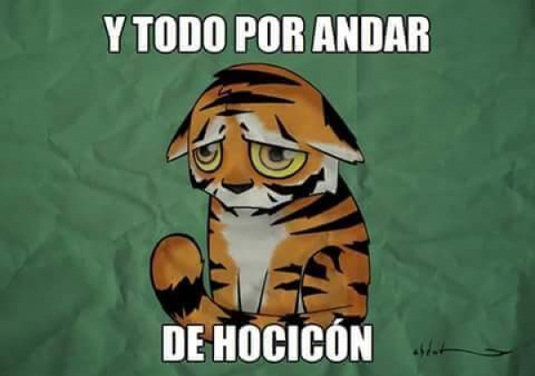Rayados como elefante... esto y más en Memes Norte