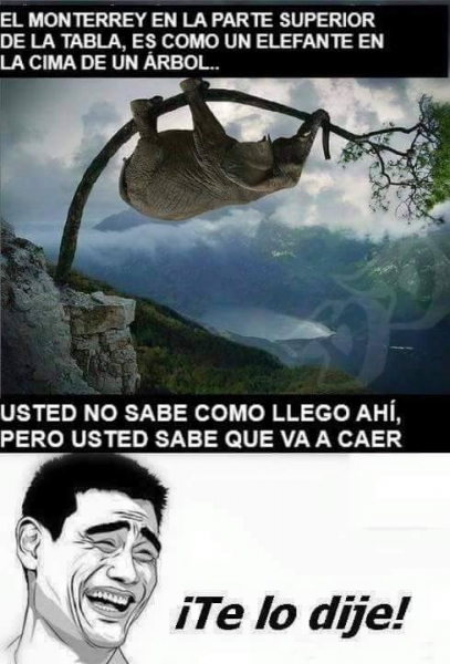 Rayados como elefante... esto y más en Memes Norte
