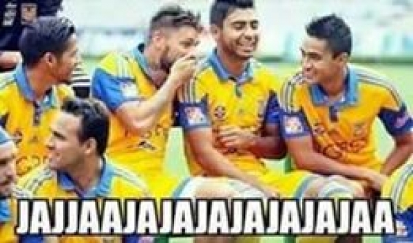 Rayados, la burla en memes