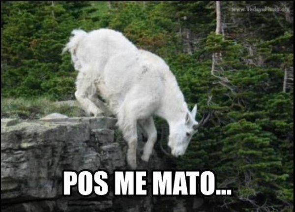 Se fue el Chepo y los memes le dan el adiós de Chivas.