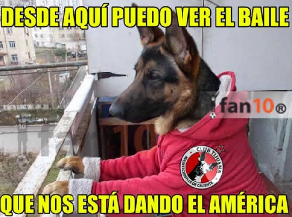 Sin Titulo