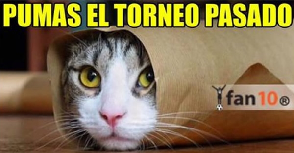 Sin Titulo