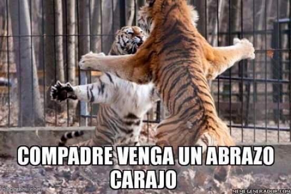 Tigres calienta la Final, en memes