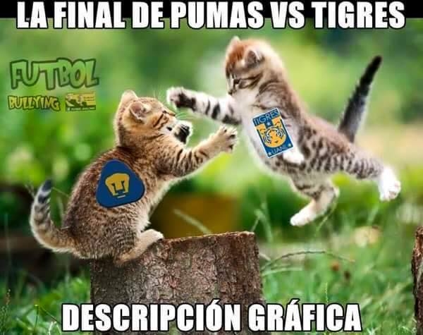 Tigres calienta la Final, en memes
