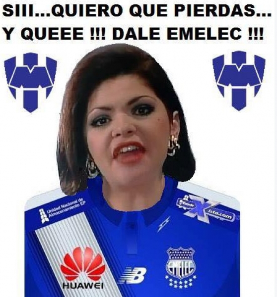 Tigres duerme en Libertadores, los memes no