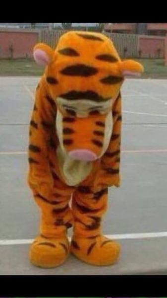 Tigres duerme en Libertadores, los memes no