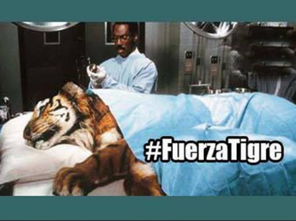 Tigres duerme en Libertadores, los memes no