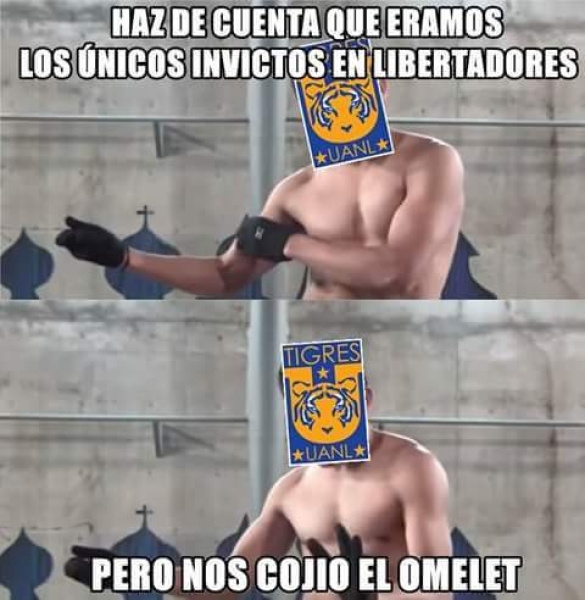 Tigres duerme en Libertadores, los memes no