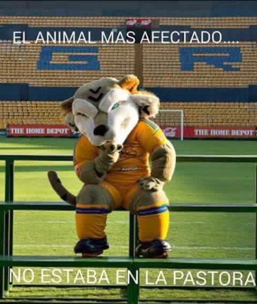 Tigres, el 'muertito' en memes