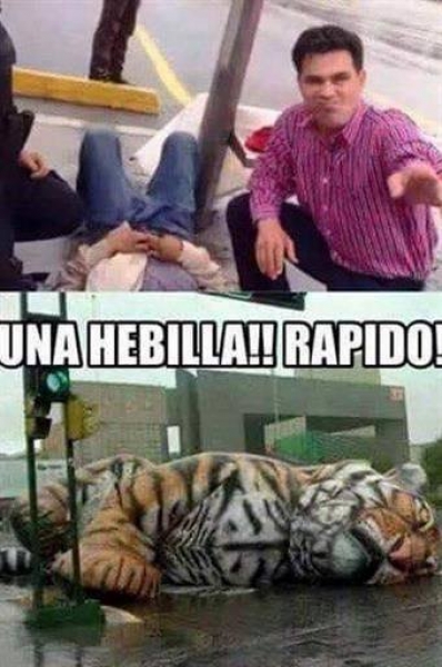 Tigres, el 'muertito' en memes