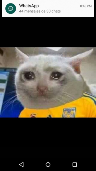 Tigres, el 'muertito' en memes