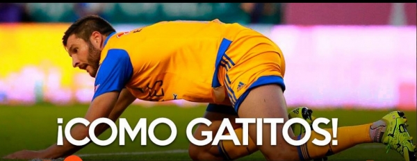 Tigres, el 'muertito' en memes