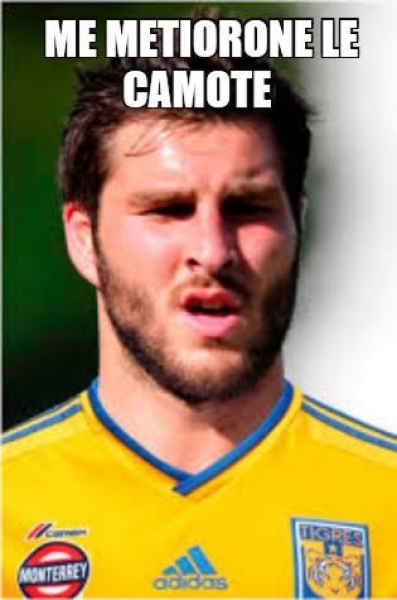 Tigres, encamotado en memes