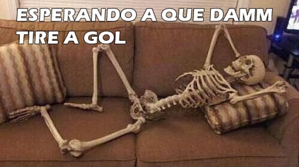 Tigres, encamotado en memes