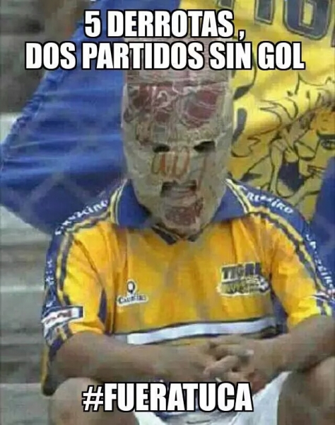Tigres, encamotado en memes