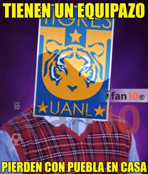 Tigres, encamotado en memes