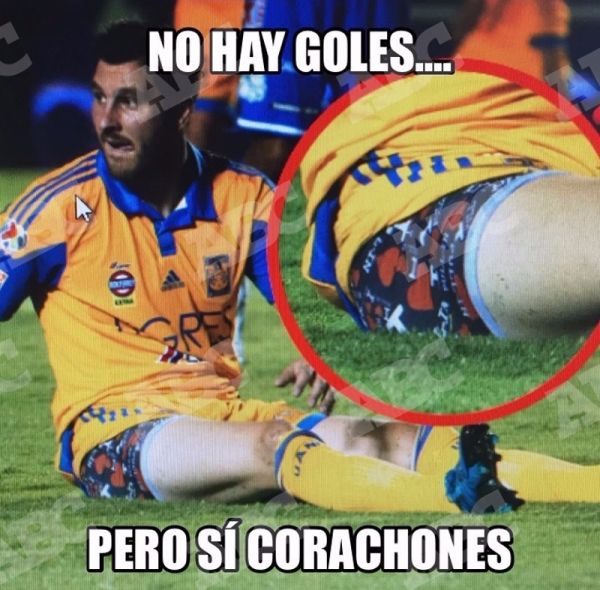 Tigres, encamotado en memes