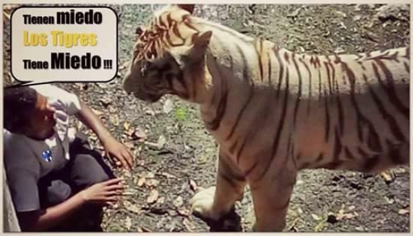 Y ahora Rayados, ¿quién tiene miedo? - Memes NTE