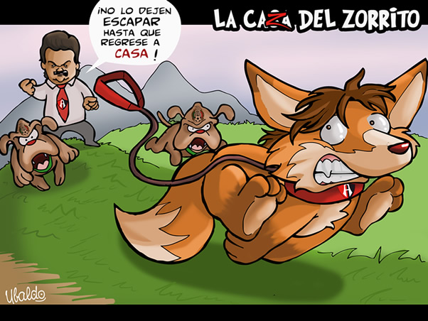 A la caza del zorrito