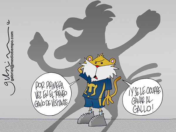 A la sombra del Gallo