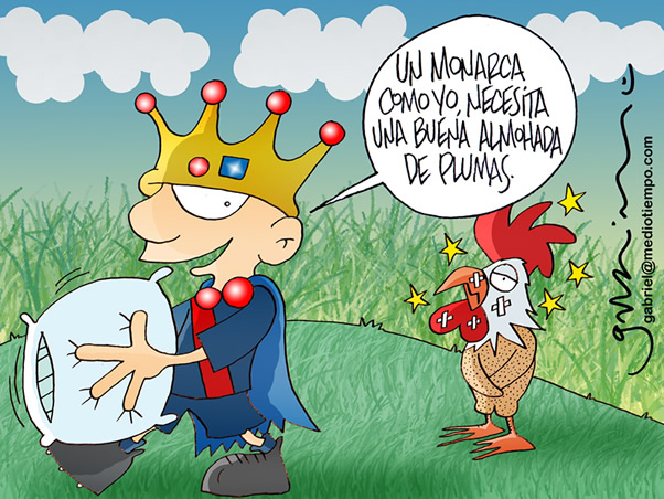 Almohada de plumas