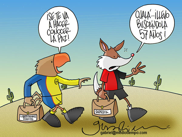 América, Atlas, Copa Santander Libertadores, La Paz FC América, Atlas, Copa...