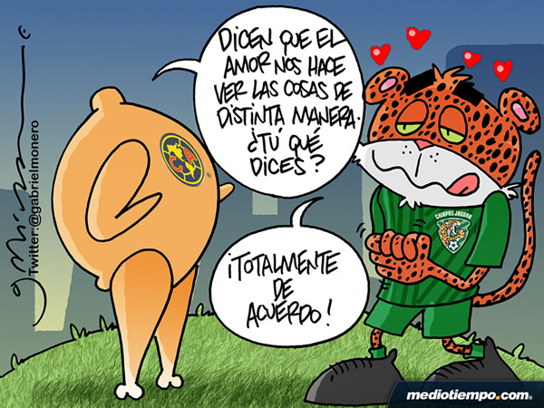 Amor es pollos
