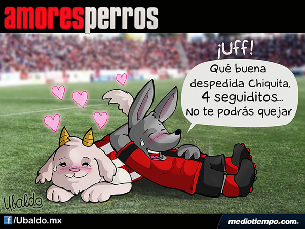 Amores Perros
