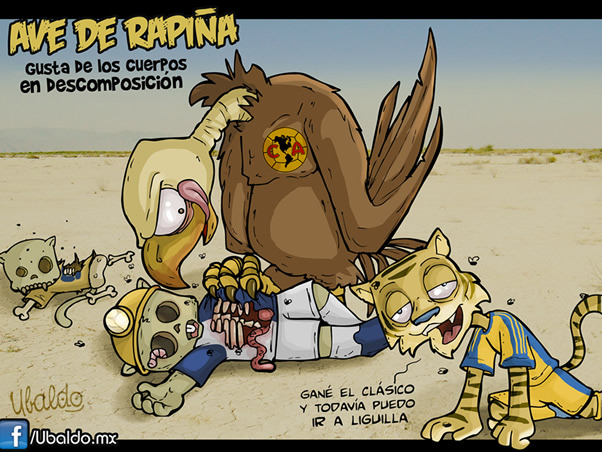 Ave de rapiña