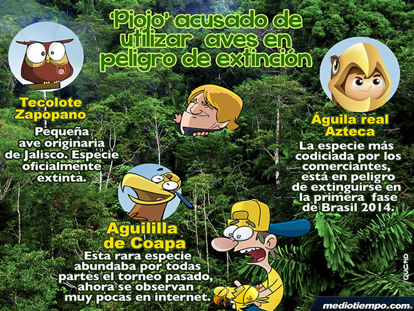 Aves en peligro de extinción