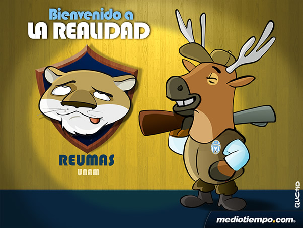 Bienvenido a la realidad
