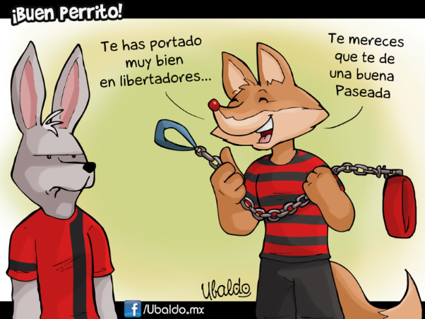 Buen Perrito