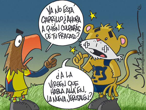 Buscando culpables