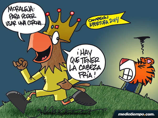 Cabeza fría