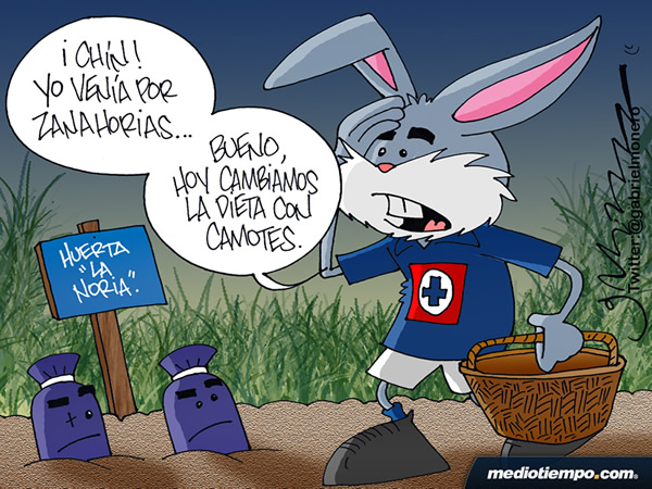 Cambiando la dieta