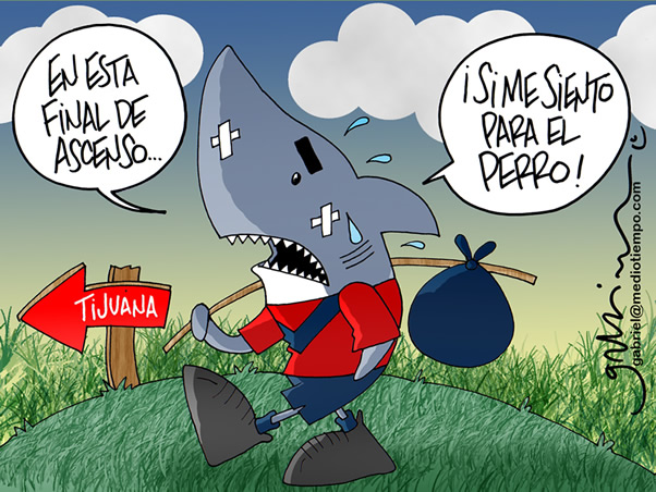 Carne para el Xolo