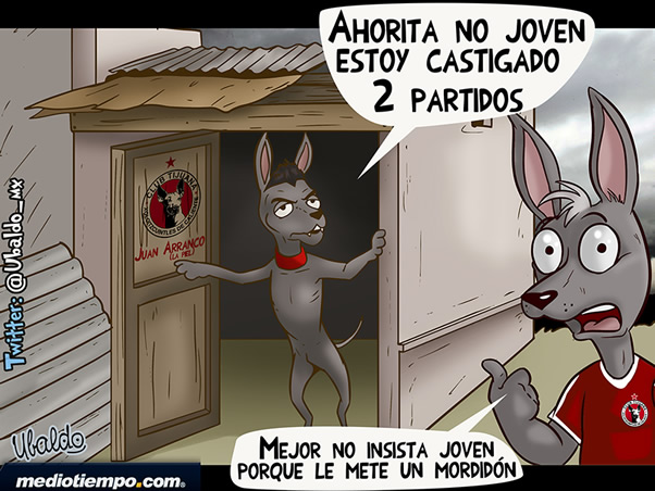 CastigaDOG