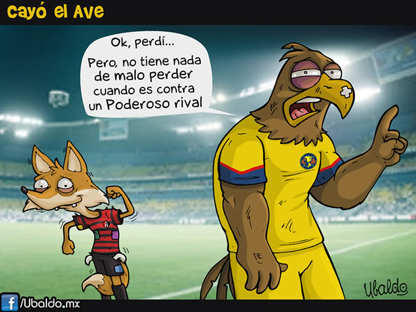 Cayó el Ave