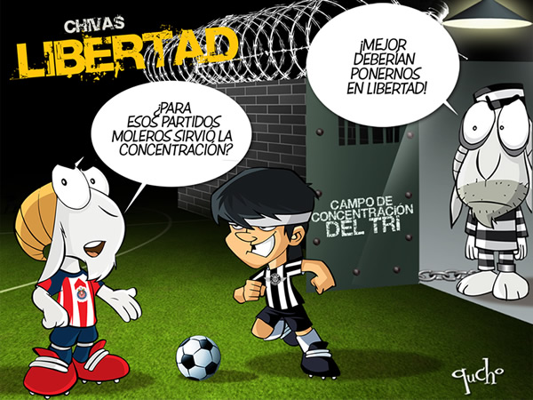 Chivas en libertad