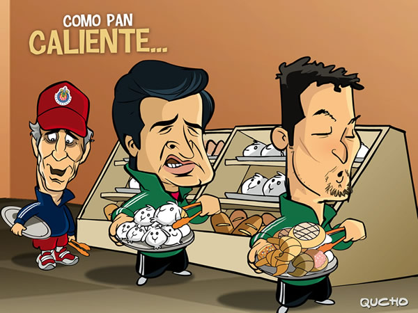 Chivas para escoger
