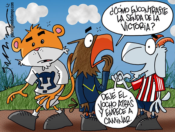 Chivita ecológica