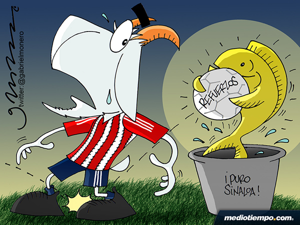 Coladera rojiblanca
