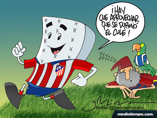 Colchonero aprovechado
