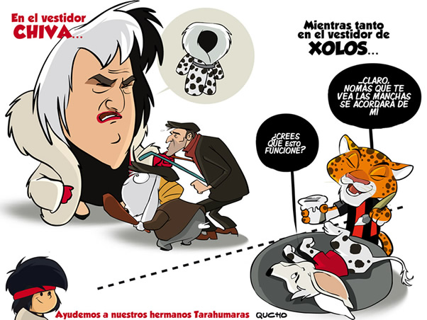 Colecta de abrigos