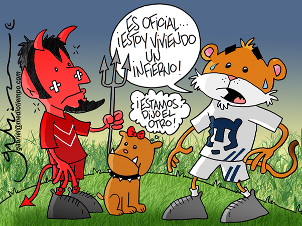 Compañeros del mismo dolor
